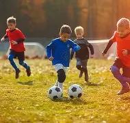 喀麦隆雄狮,非洲杯阵容,揭晓,尊龙凯时,尊龙凯时官方网站