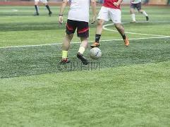 绿茵篮坛双,星闪耀,凯尔特人客,尊龙凯时,尊龙凯时官方网站