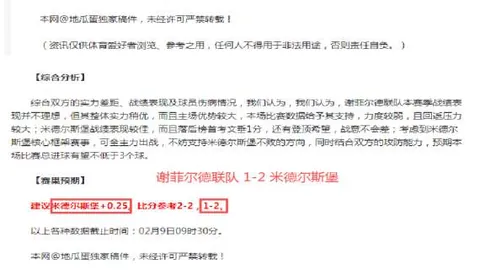 【独家预热】激情对决在即！云达不莱梅与霍芬海姆强强争霸，粉丝盛宴率先开启！