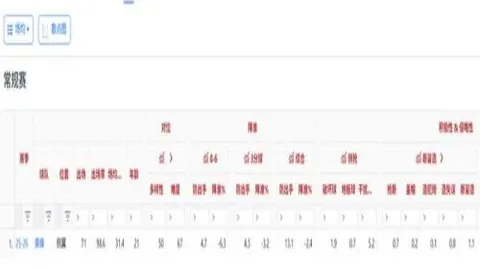 篮球赛事分析：掘金森林狼深度解读
